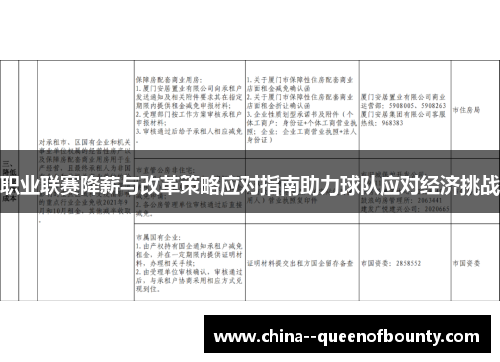 职业联赛降薪与改革策略应对指南助力球队应对经济挑战