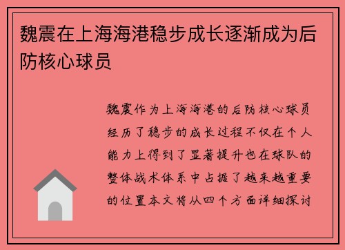 魏震在上海海港稳步成长逐渐成为后防核心球员
